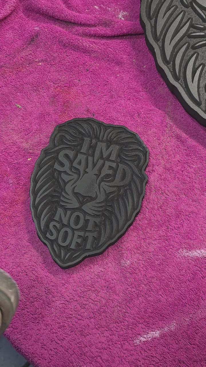 Small Lion